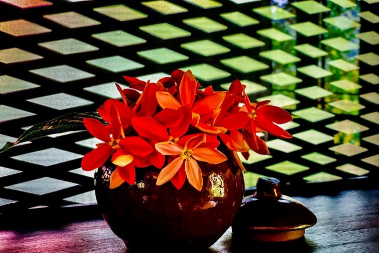 Tam Cốc Garden Resort